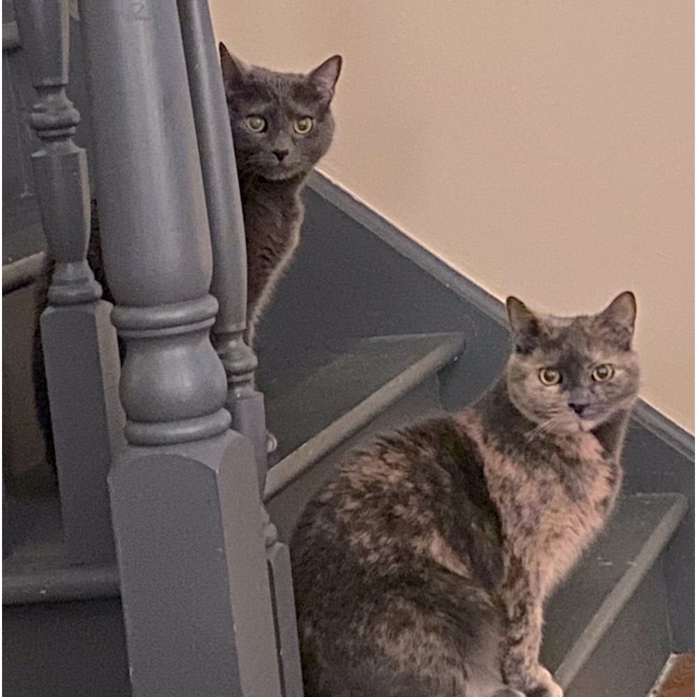 Meet your Posher, Jackie